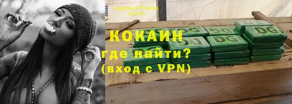 дживик Ветлуга