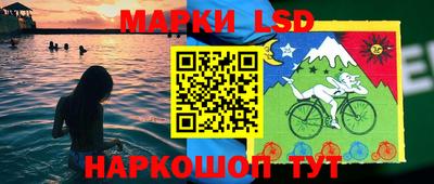 spice Гусь-Хрустальный