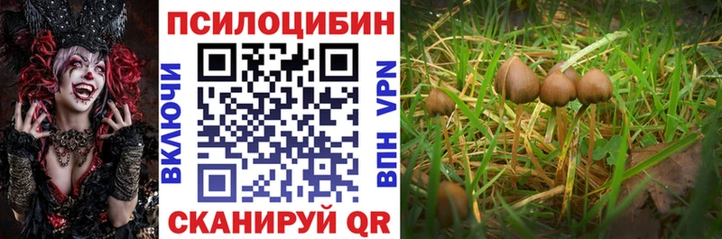 Псилоцибиновые грибы мицелий  Дубна 