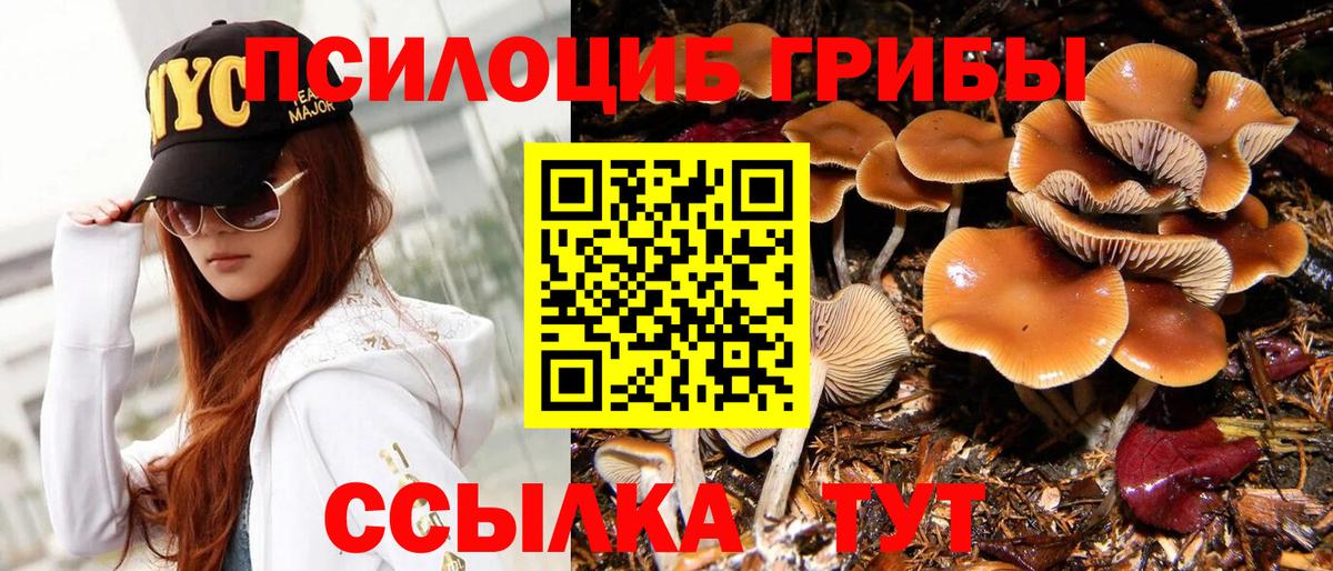 Дубна  Галлюциногенные грибы GOLDEN TEACHER  Вход с VPN  Галлюциногенные грибы Psilocybe 